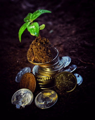 Vertical shot of a small green leaves with some soil on a pile of coins